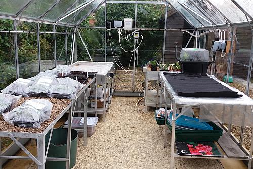 10. North Moreton greenhouse