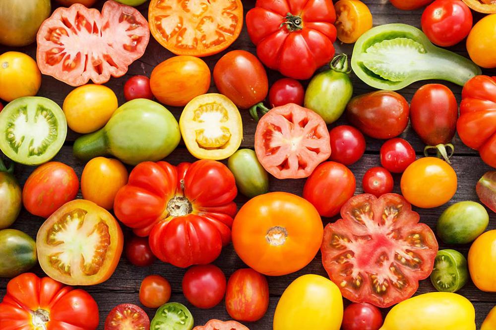 Choose tomato cultivars