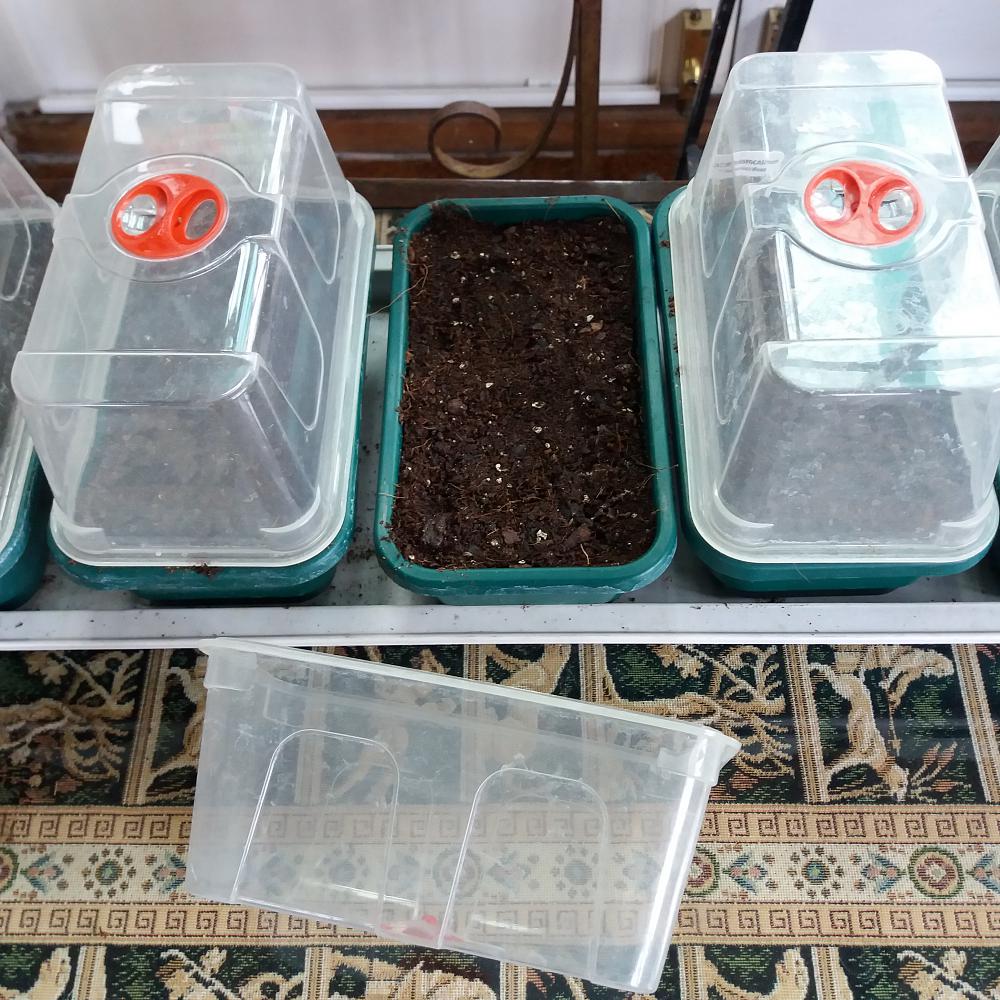 Try smaller seed trays