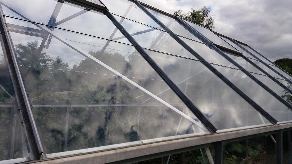 clean your greenhouse roof when it's raining