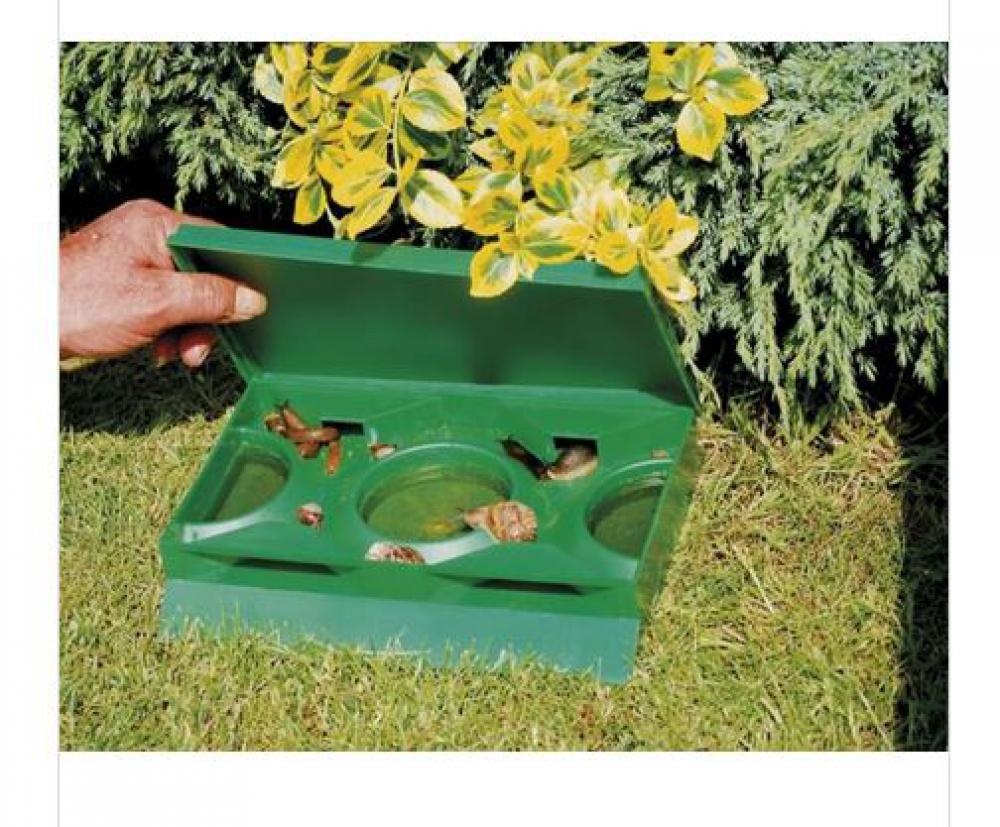Use traps for slugs