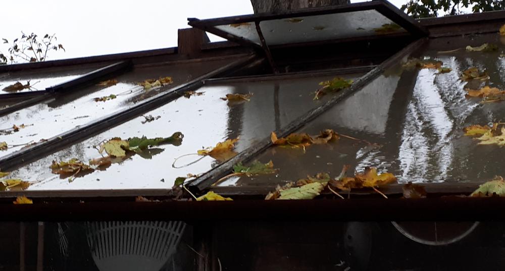 Clean your greenhouse roof in the rain