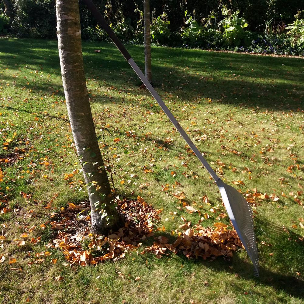 Use a leaf rake