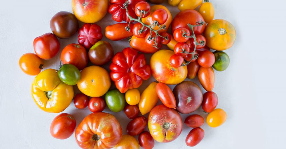 Choose this year's tomatoes