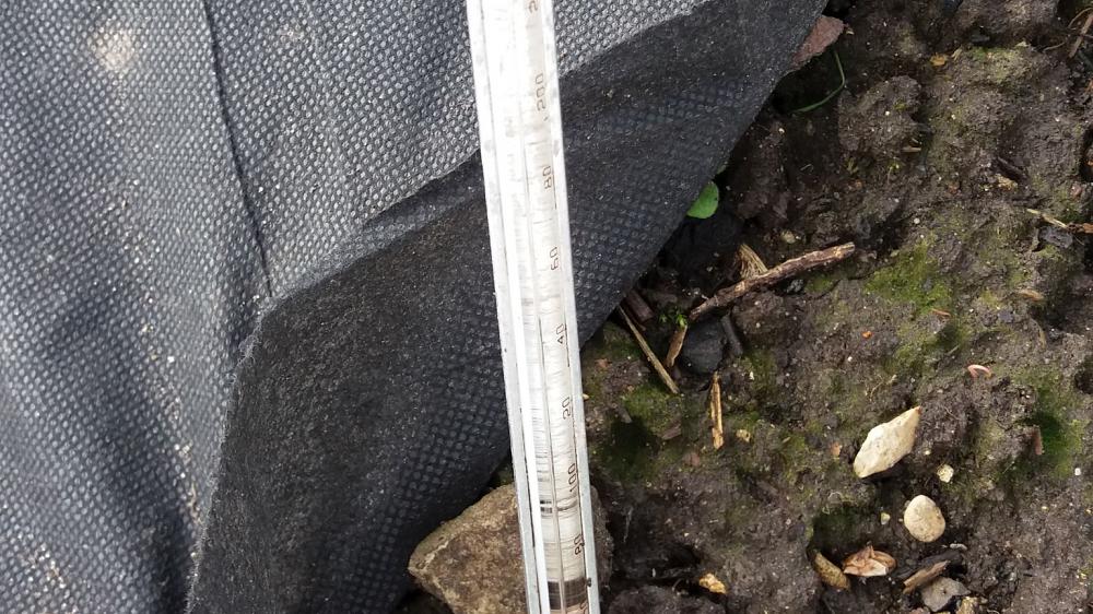 Check the soil temperature